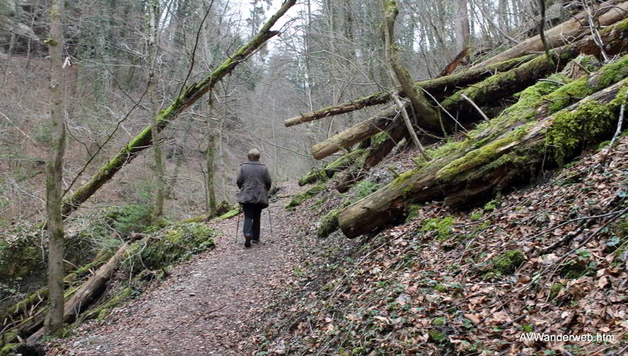 Paehler Schlucht 2012