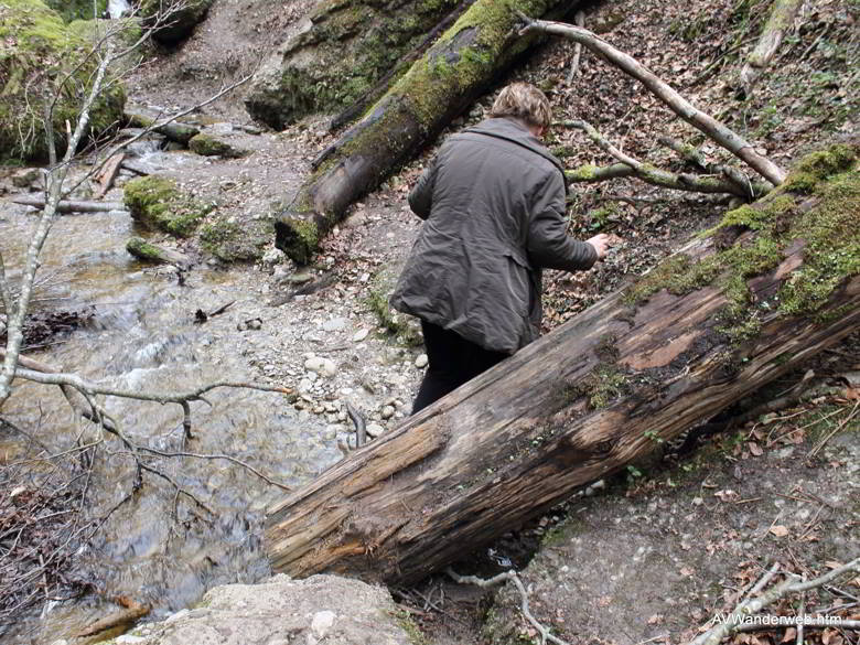 Paehler Schlucht 2012