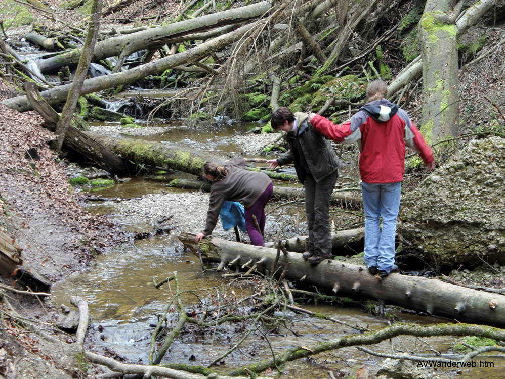 Paehler Schlucht 2012