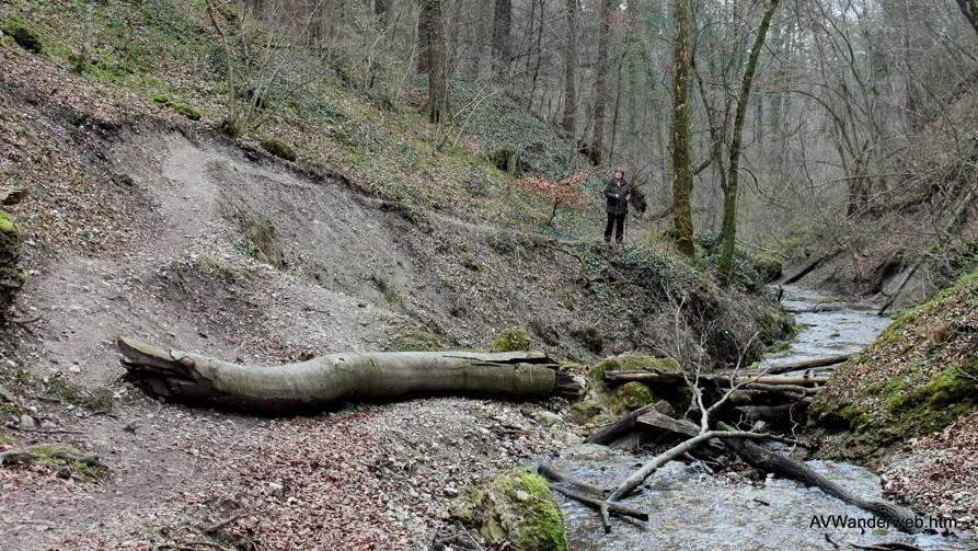 Paehler Schlucht 2012