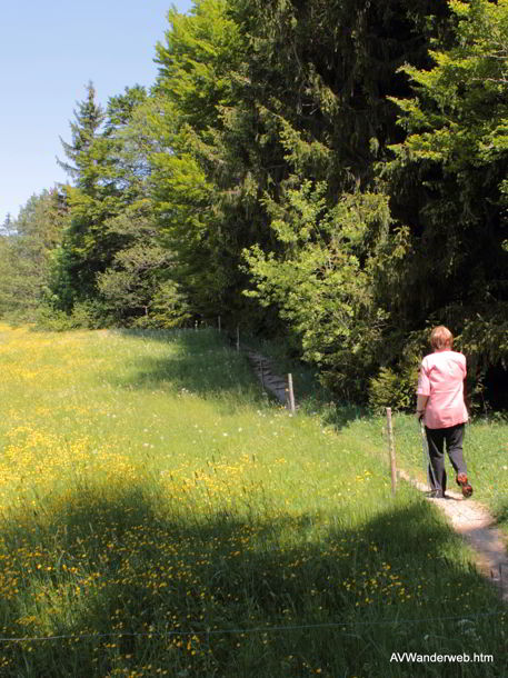 Schleierfälle Ammer Höhle Scheibum