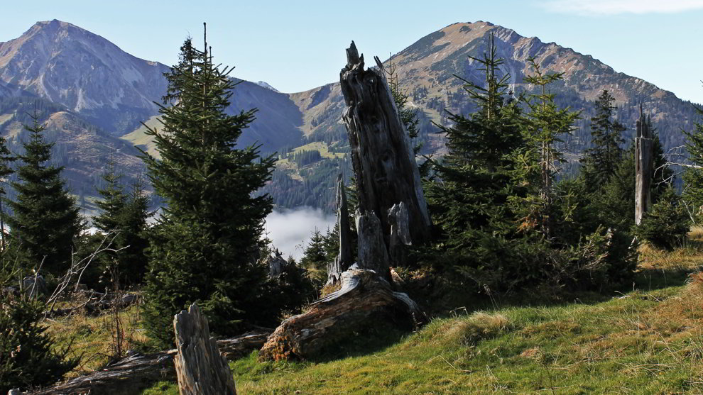 Zugspitzblick Schoenkahler