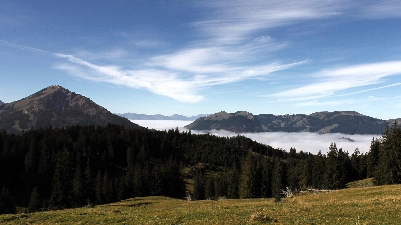 Zugspitzblick Schoenkahler