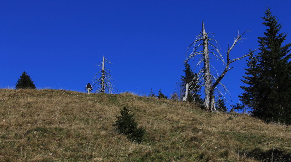 Zugspitzblick Schoenkahler