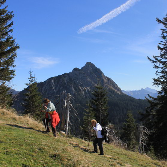 Zugspitzblick Schoenkahler