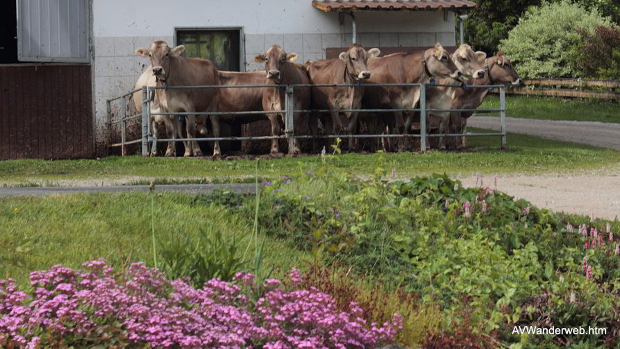 Fronleichnam Vils Tirol