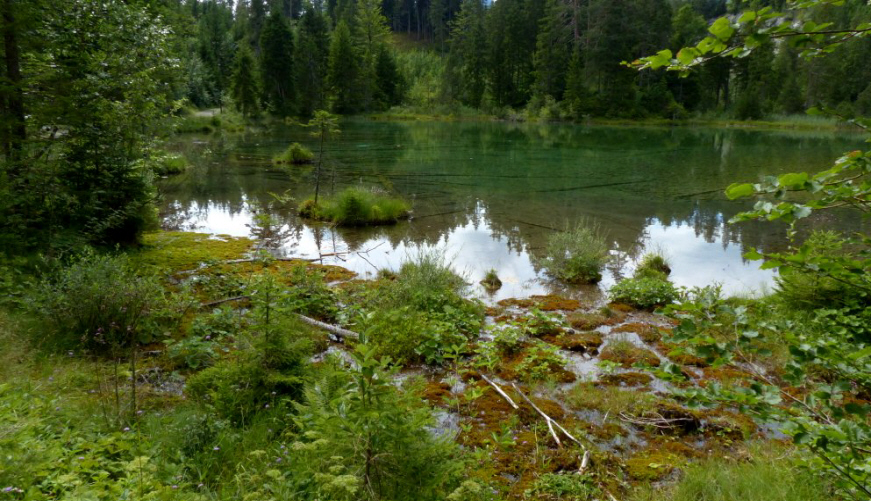 Riedener See Lechtal