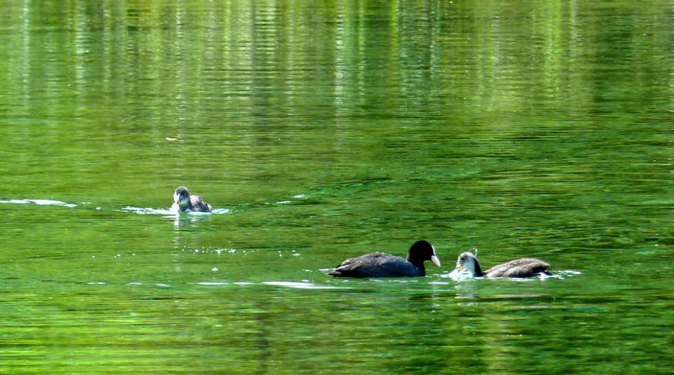 Riedener See Lechtal