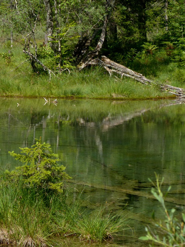 Riedener See Lechtal