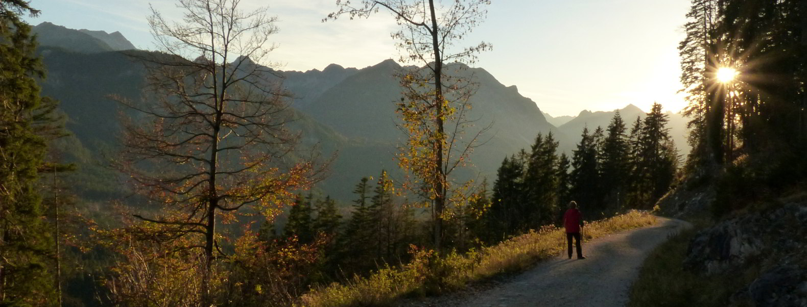 Burgenwelt Ehrenberg Hängebrücke