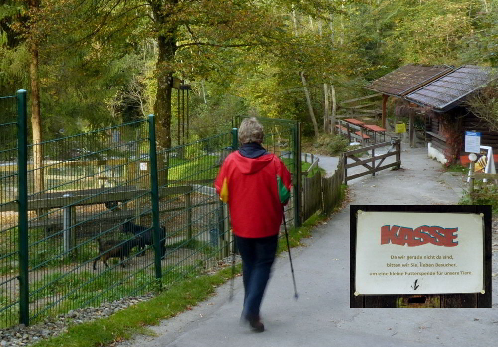 Scheidegger Wasserfälle