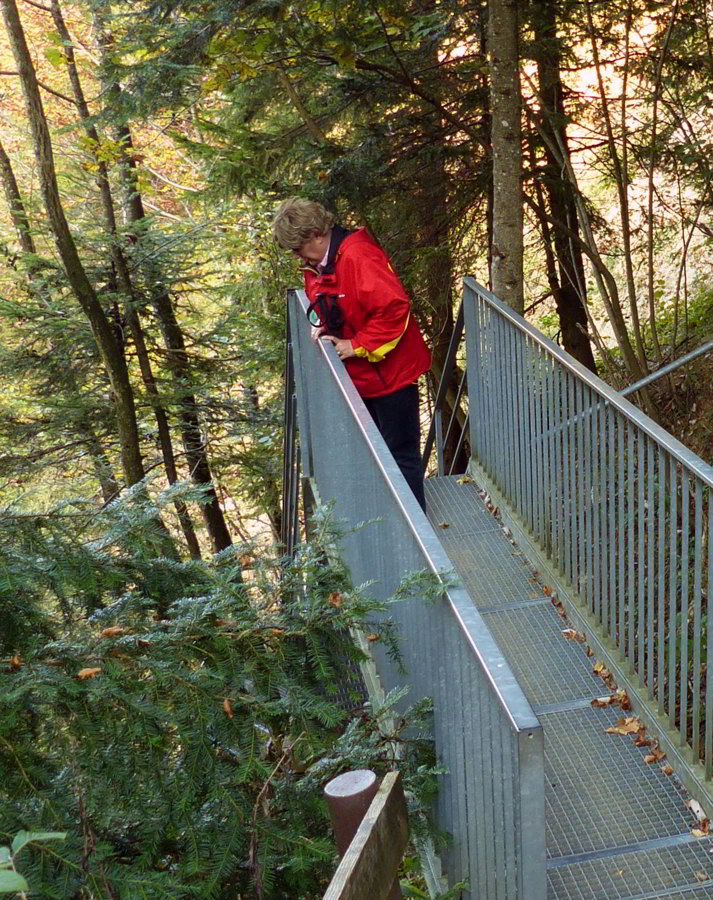 Scheidegger Wasserfälle