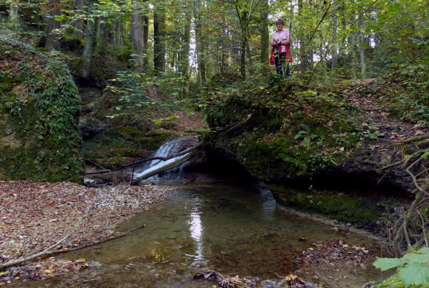 Scheidegger Wasserfälle