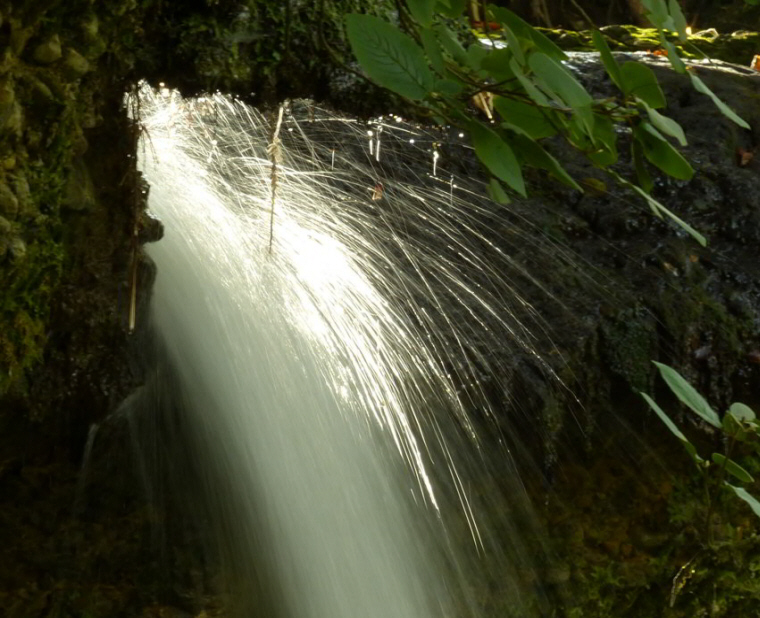 Scheidegger Wasserfälle