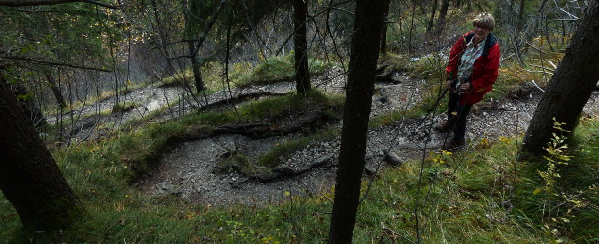 Zipfelbach Wasserfaelle Zipfelalm