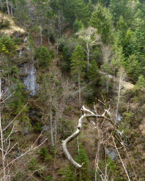 Asamklamm Eschenlohe