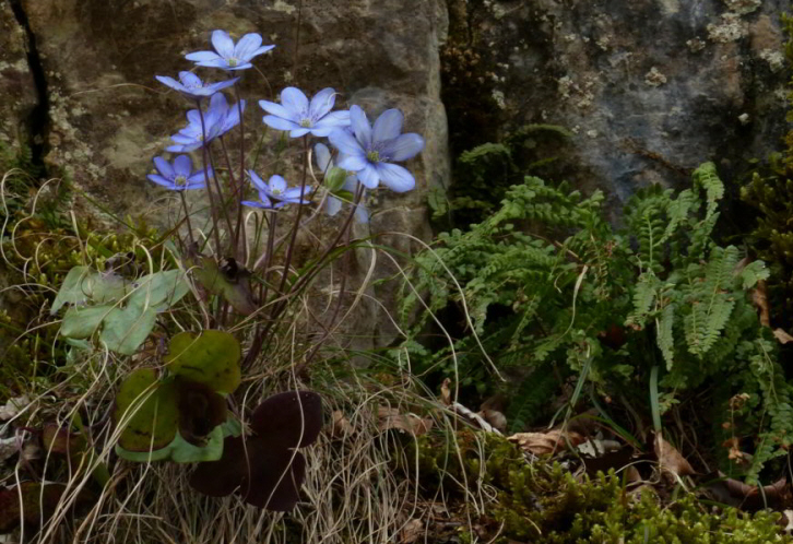 Asamklamm Eschenlohe