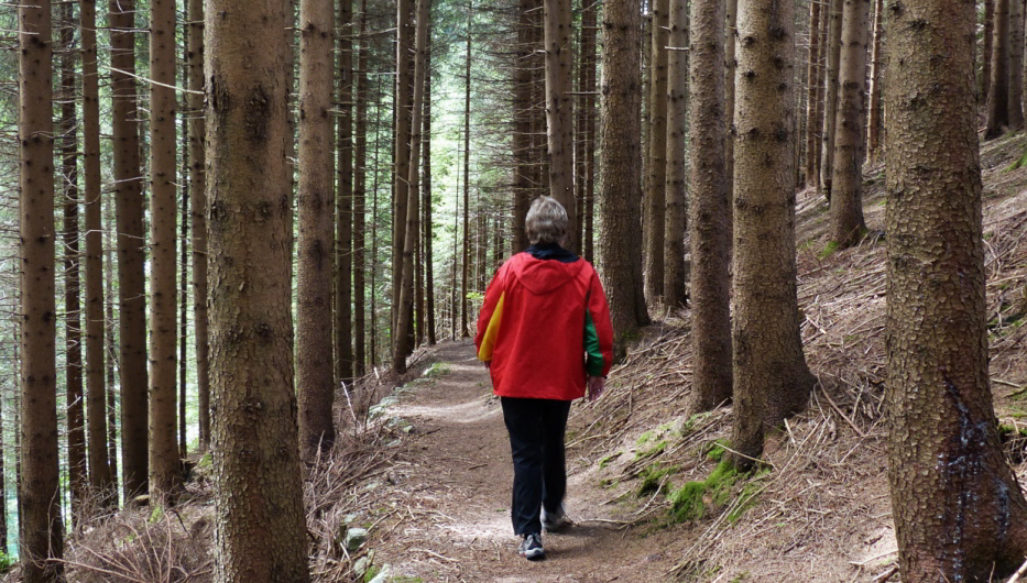 Rosshauptener Drachenweg