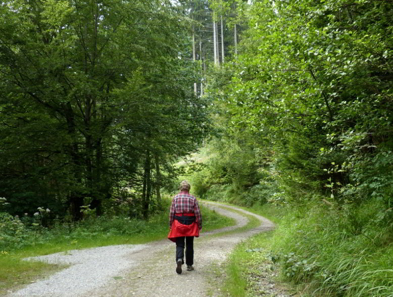 Waldspaziergang