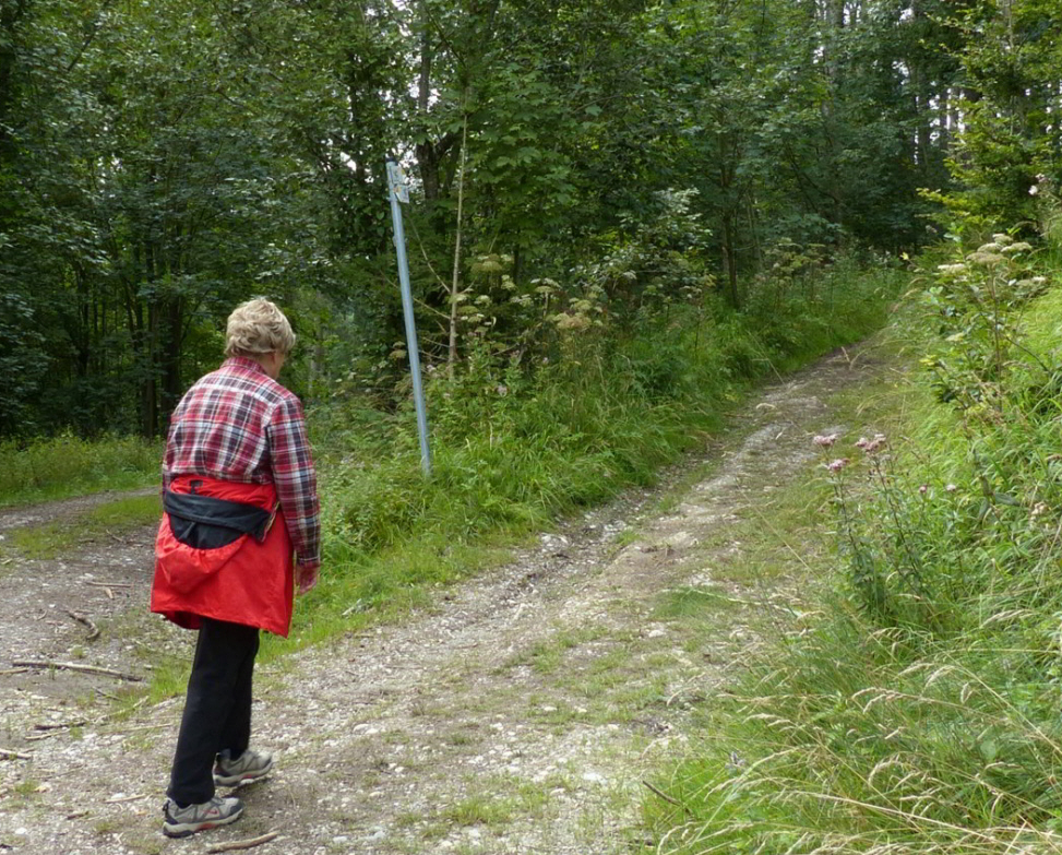 Rosshauptener Drachenweg