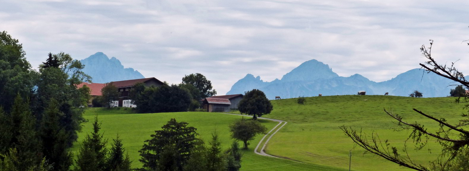 Rosshauptener Drachenweg