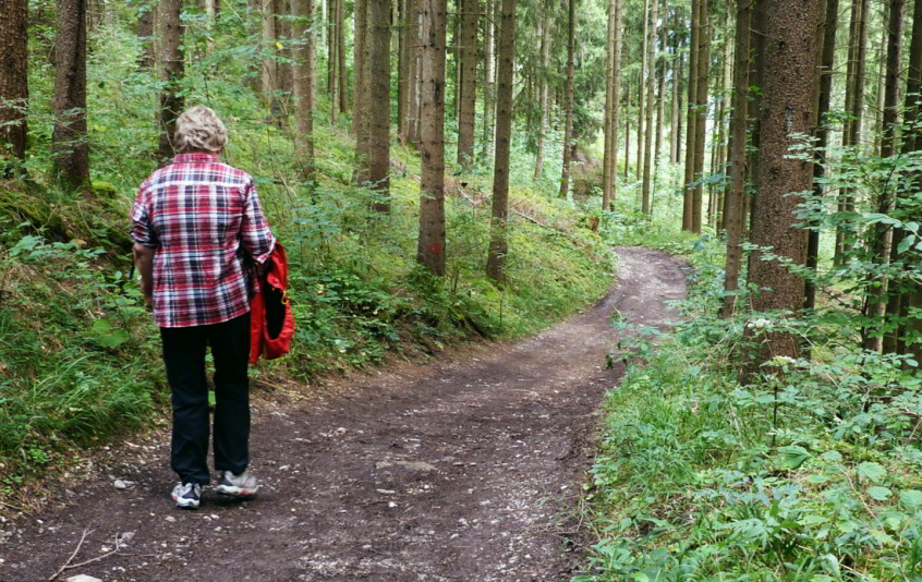 Rosshauptener Drachenweg