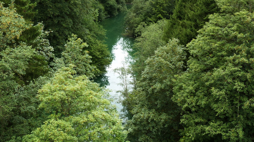 Rosshauptener Drachenweg