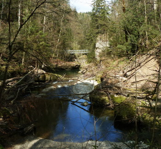 Eistobel - Schuettentobel - Obere Argen