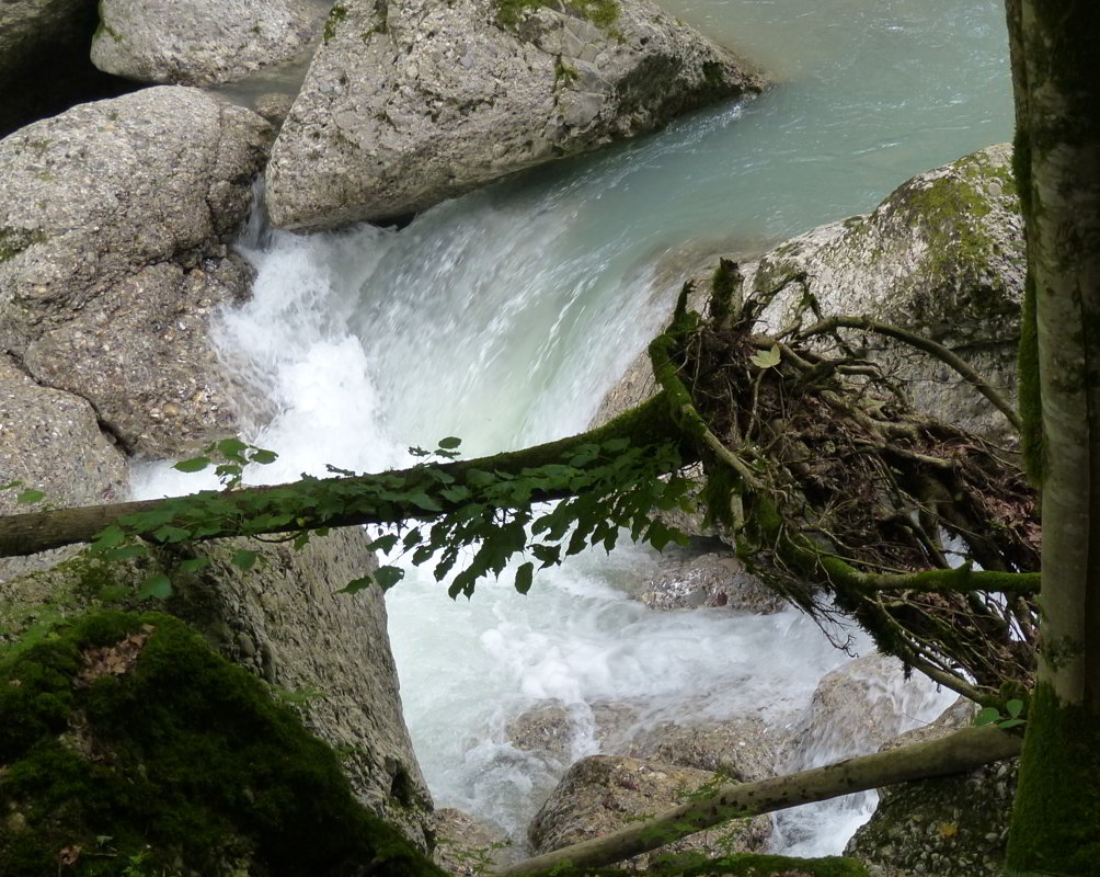 Engenlochschlucht Hittisau