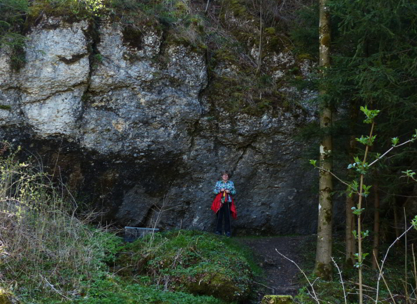 Falkenstein Rettenberg