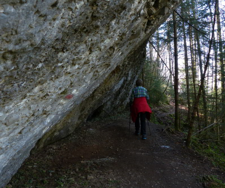 Falkenstein Rettenberg