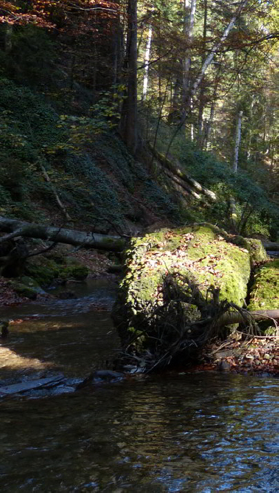 Hasenreuter Wasserfall