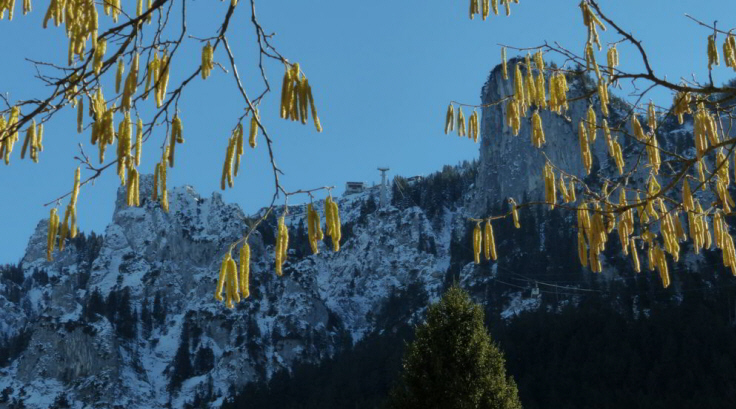 Hornburg Tegelbergbahn Schwangau