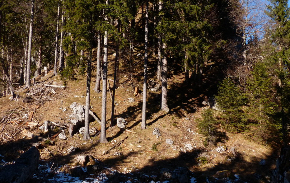 Hornburg Tegelbergbahn Schwangau