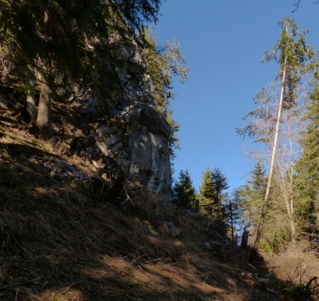 Hornburg Tegelbergbahn Schwangau