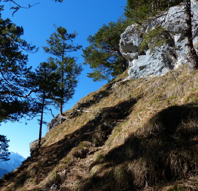 Hornburg Tegelbergbahn Schwangau