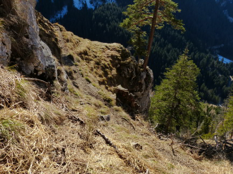 Hornburg Tegelbergbahn Schwangau