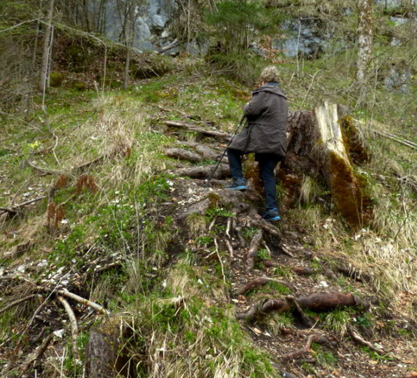 Kienbergweg