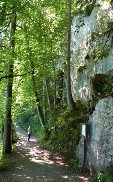 Salober Alp Rundweg