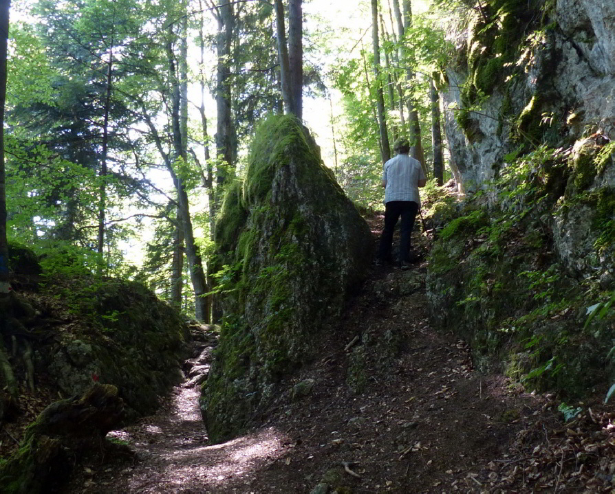 Salober Alp Rundweg