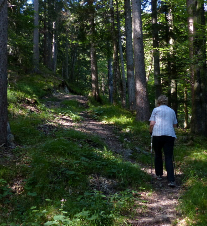 Salober Alp Rundweg