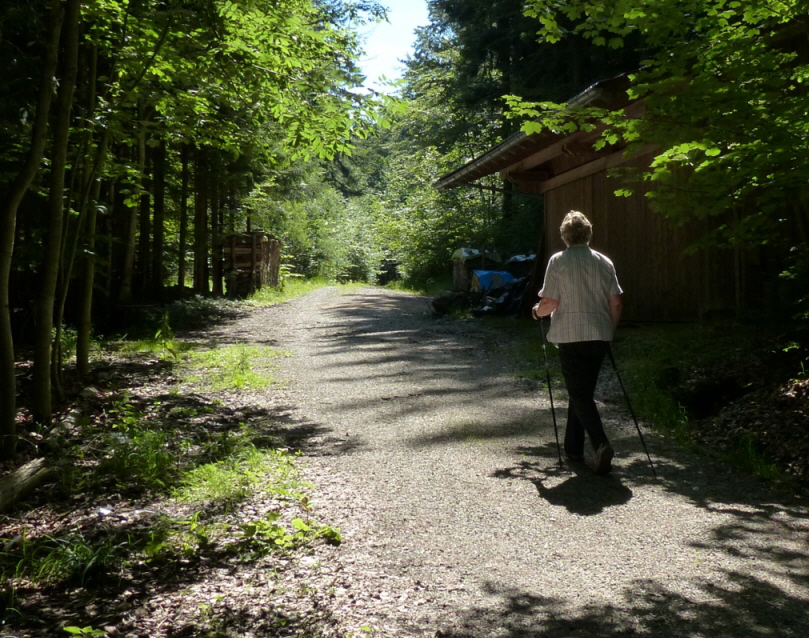 Salober Alp Rundweg