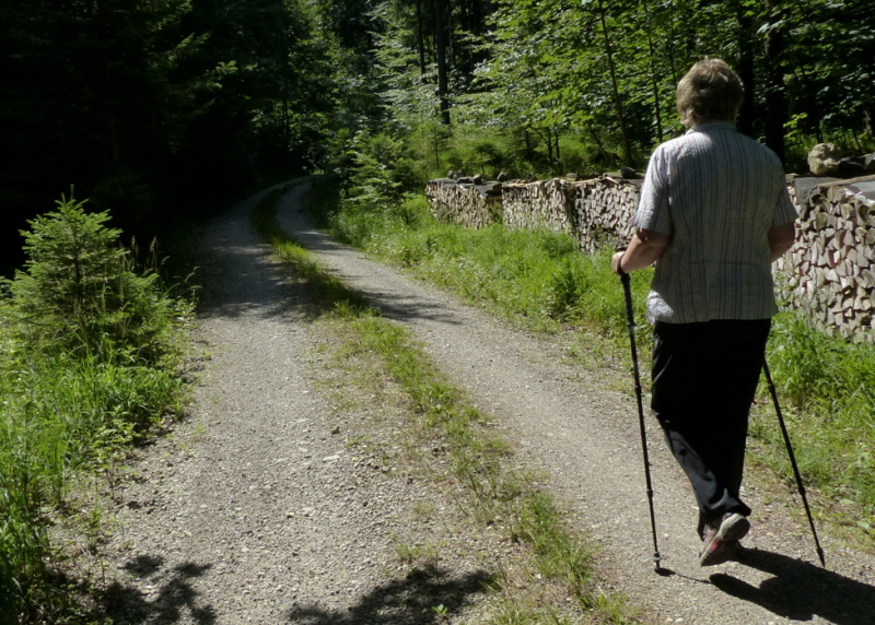 Salober Alp Rundweg