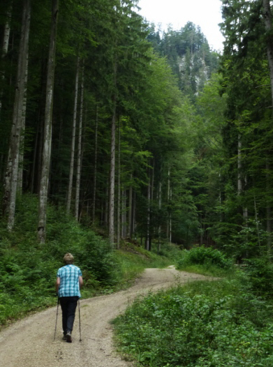 Salober Alp Rundweg