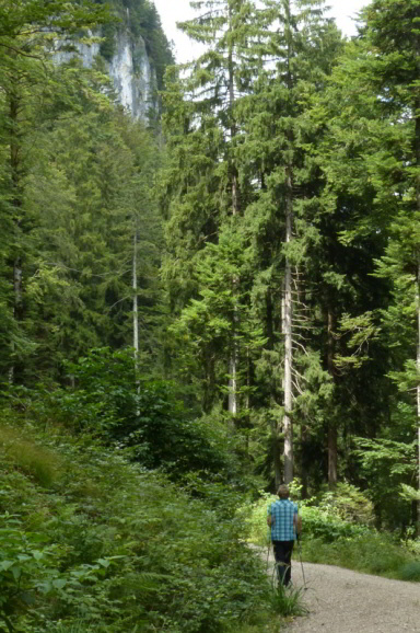 Salober Alp Rundweg