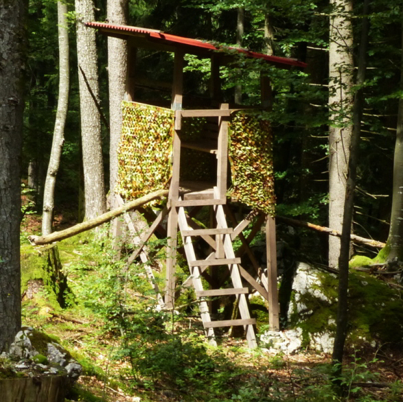 Salober Alp Rundweg