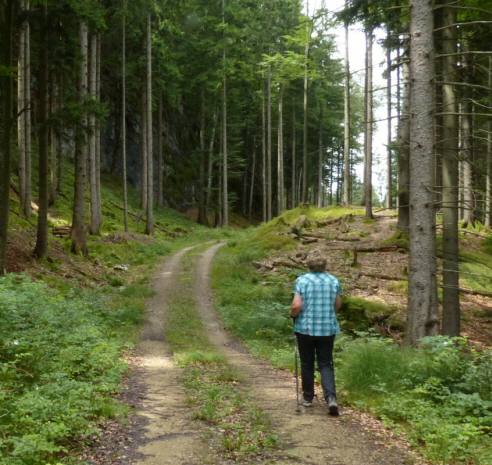 Salober Alp Rundweg