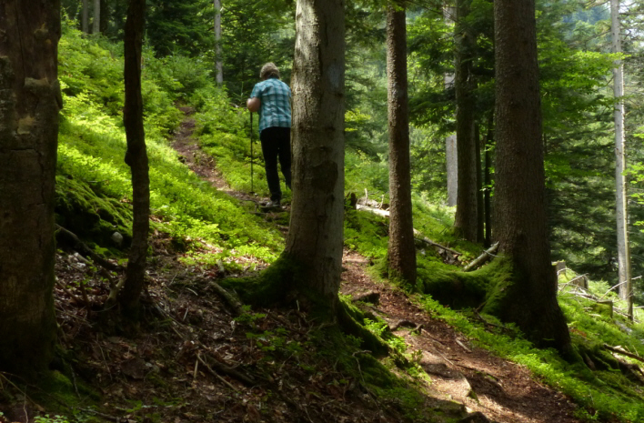 Salober Alp Rundweg