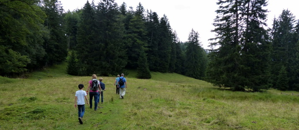 Salober Alp Rundweg