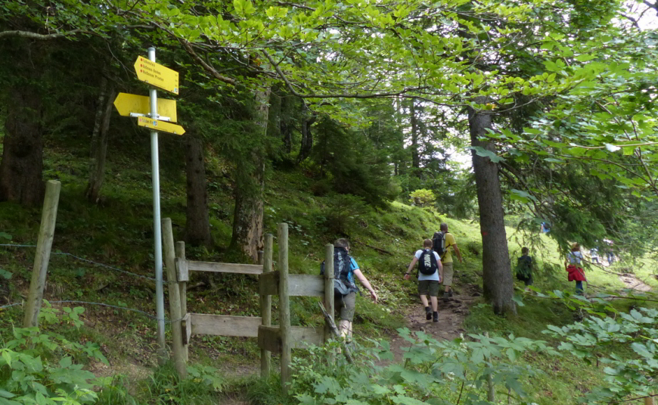 Salober Alp Rundweg